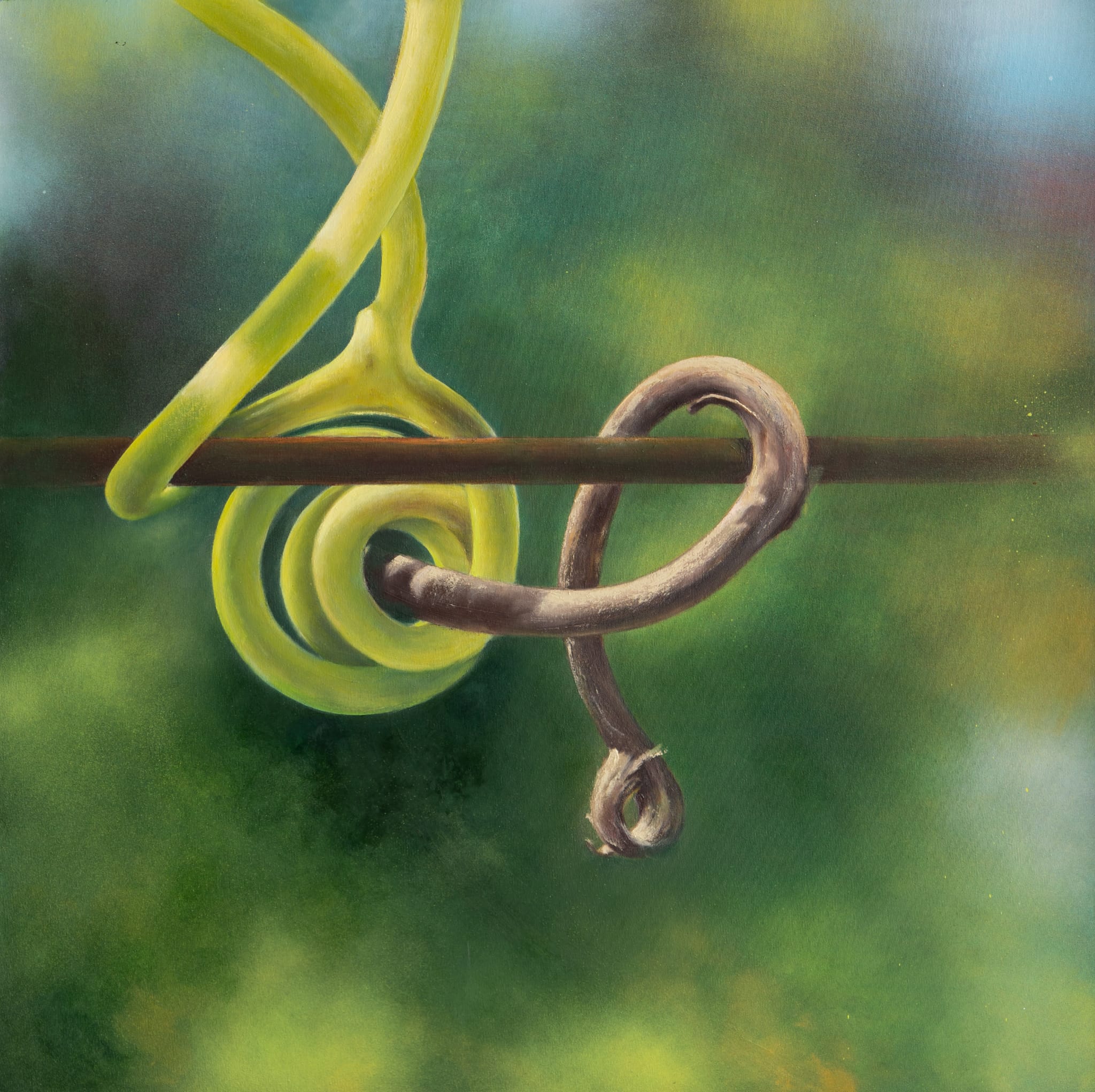Spira Mirabilis