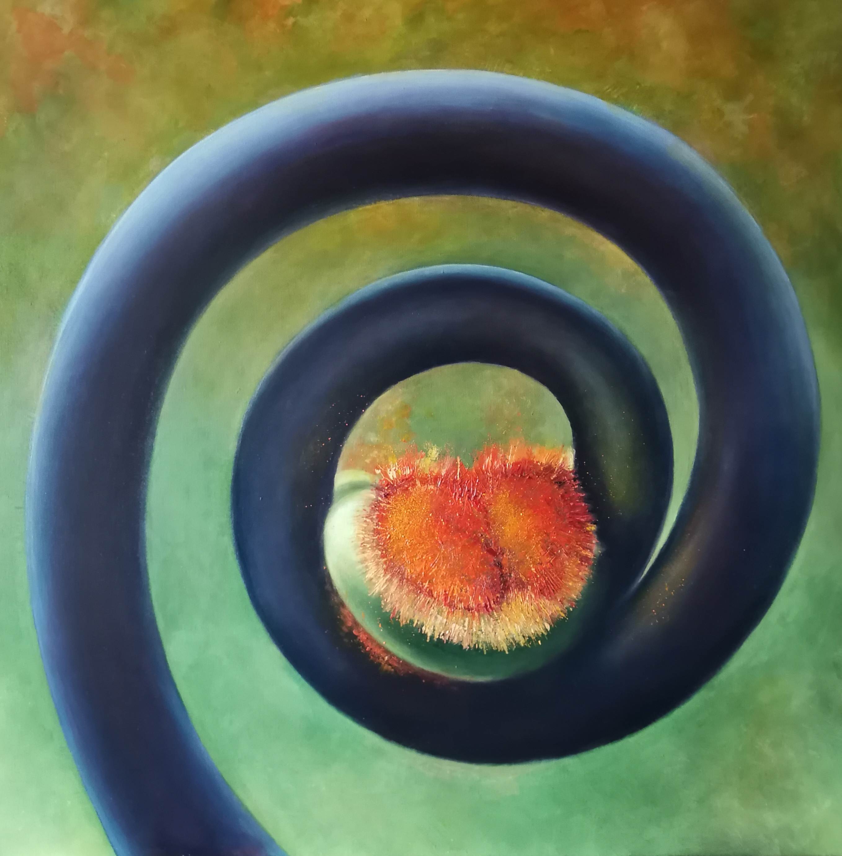 Spira Mirabilis
