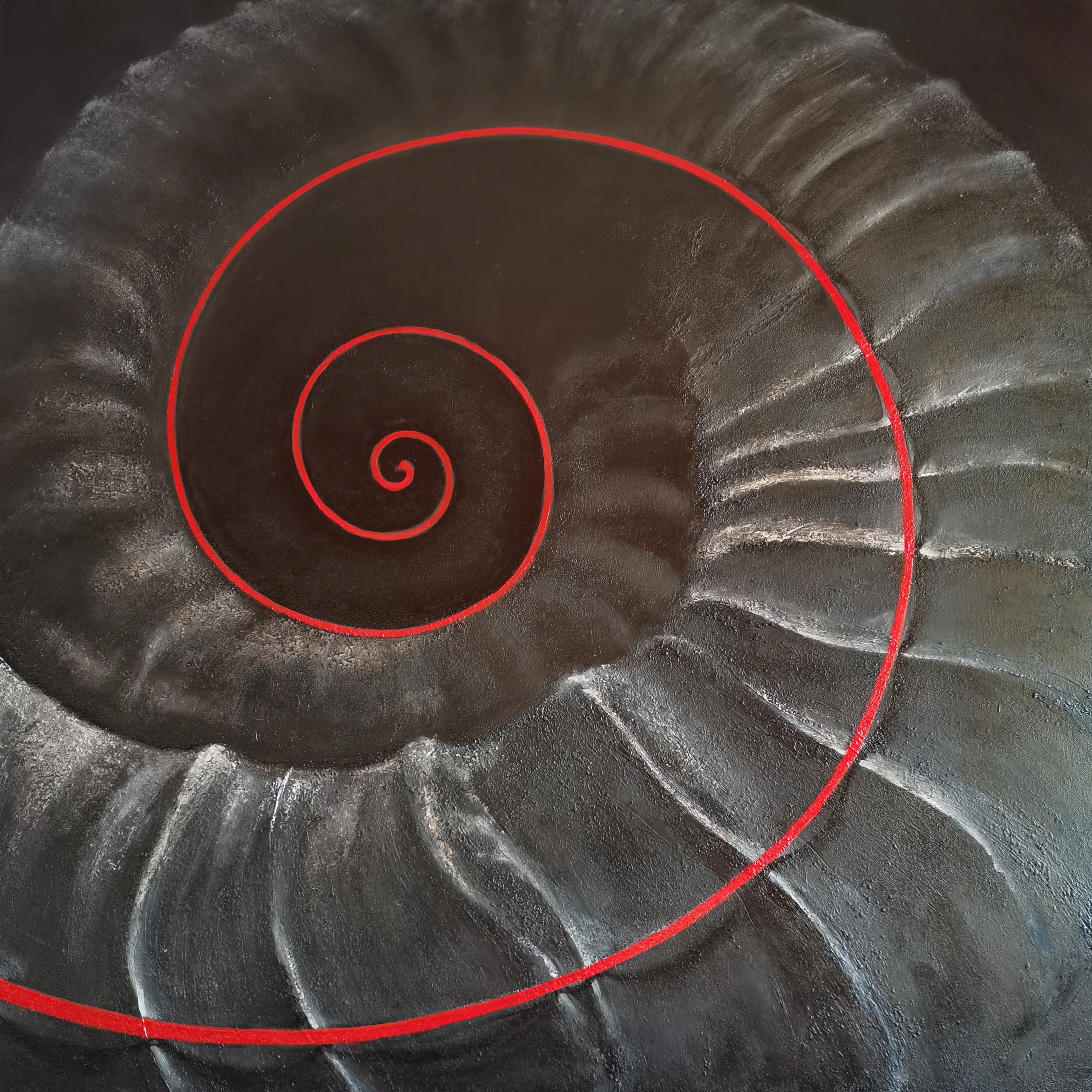 Spira Mirabilis